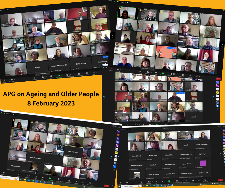 text APG on Ageing and Older People 8 February on yellow background with screenshots of Zoom calls