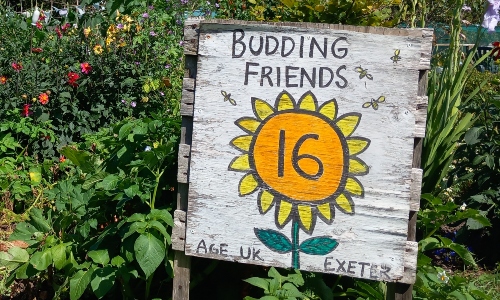 A painted wooden sign reading Budding Friends Age UK Exeter, with greenery behind